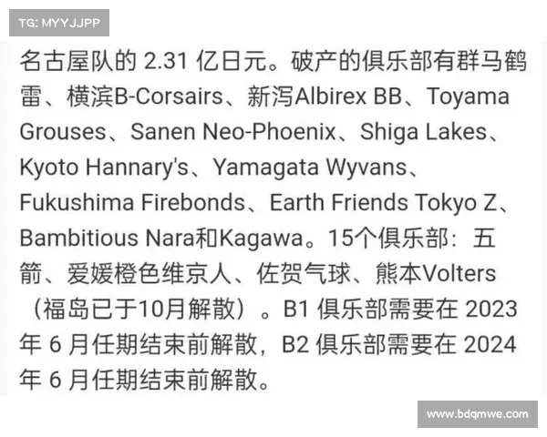 CBA合同制度改革与球员薪资结构变化的影响分析